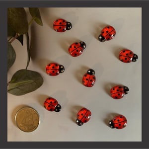 10 pièces - Petites coccinelles - couleur rouge vif - résine