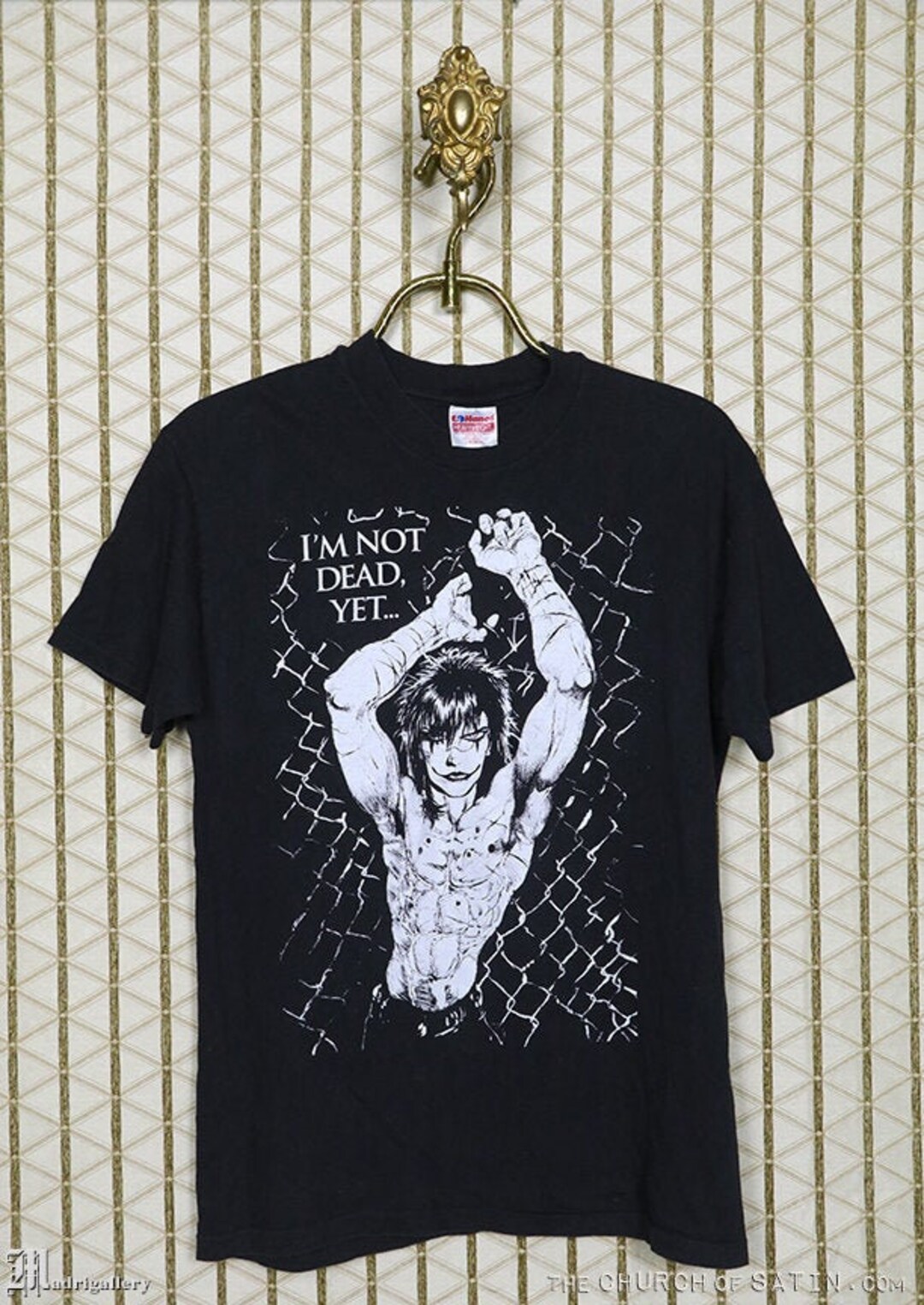 Vintage the sale crow t shirt