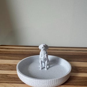 Lab ring dish