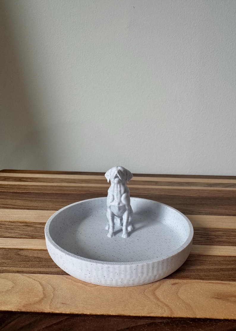 Lab ring dish