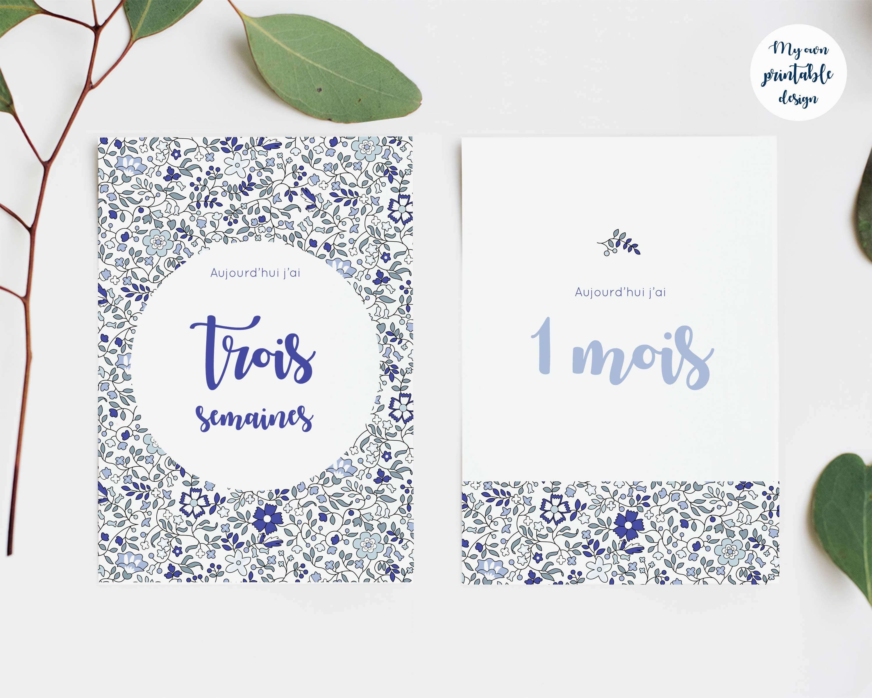 17 Cartes Etapes Bebe A Imprimer Etsy France