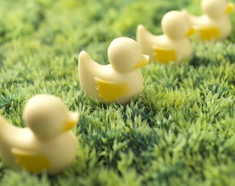 Patitos de chocolate blanco belga hechos a mano - Regalos de animales de granja