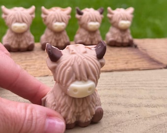 Vacas de las Tierras Altas de Chocolate