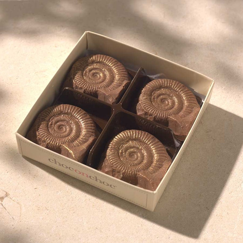 Chocolate Fossils Chocolate Gifts Novelty Shaped Etsy