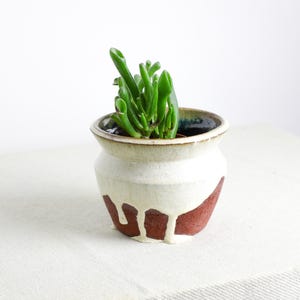 Op de afbeelding: Een kleine, handgemaakte keramische pot met een vetplant. De pot is wit met een bruin, druipend glazuurontwerp. De plant heeft heldergroene, buisvormige bladeren. De pot staat op een wit oppervlak.