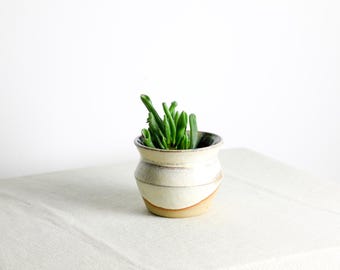 以下が含まれることがあります： クリーム色の外観と茶色のベースの、手作りの小さなセラミックポット。鮮やかな緑色の多肉植物のクラスターが入っています。白い表面にポットが置かれています。