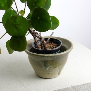 Könnte beinhalten: Eine Pilea peperomioides Pflanze, auch bekannt als chinesische Geldpflanze, in einem Keramiktopf. Die Pflanze hat runde, grüne Blätter und ist in einem kleineren schwarzen Topf in einem größeren, hellgrünen Topf eingetopft. Der Hintergrund ist weiß.