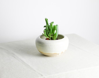 以下が含まれることがあります： 白くて少し縁が不揃いなセラミック製の鉢に小さな多肉植物が入っています。鉢は白いリネン製のテーブルクロスの上に置かれています。