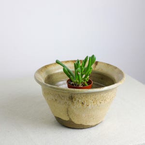 May include: A small green succulent plant in a terracotta pot sits inside a beige ceramic bowl. The bowl has a wide rim and a textured, earthy appearance. The background is a plain white.