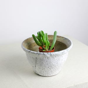 May include: A small potted succulent plant inside a larger, textured white ceramic pot. The pot has a wide, slightly flared rim with a speckled, aged appearance. The succulent has bright green, cylindrical leaves.