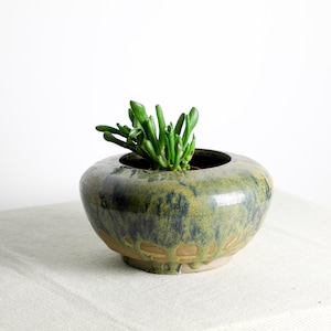 May include: A ceramic planter with a glossy green and blue glaze. The round pot contains a small succulent plant with green, finger-like leaves. The planter sits on a white surface.