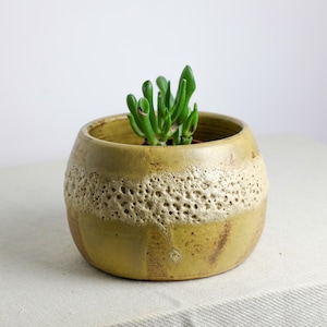 May include: A small, round, ceramic planter with a textured, porous band around the middle. The planter is a muted yellow-brown color and contains a small green succulent plant. The background is a plain white.