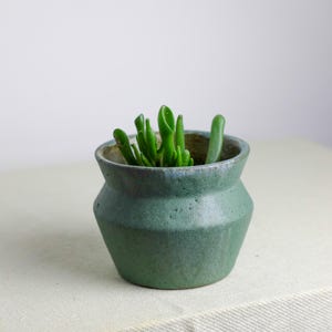 Puede incluir: Una pequeña maceta de cerámica verde hecha a mano con una superficie texturizada, que contiene una vibrante planta suculenta verde. La maceta tiene una forma geométrica única y un borde ligeramente ensanchado. Las hojas de la planta son de un verde brillante y saludable.