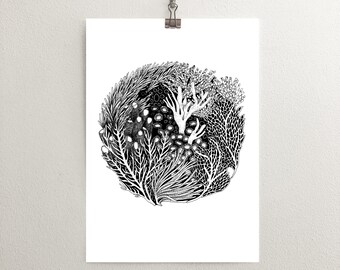 Coral Reef Print, Sea Wall Art