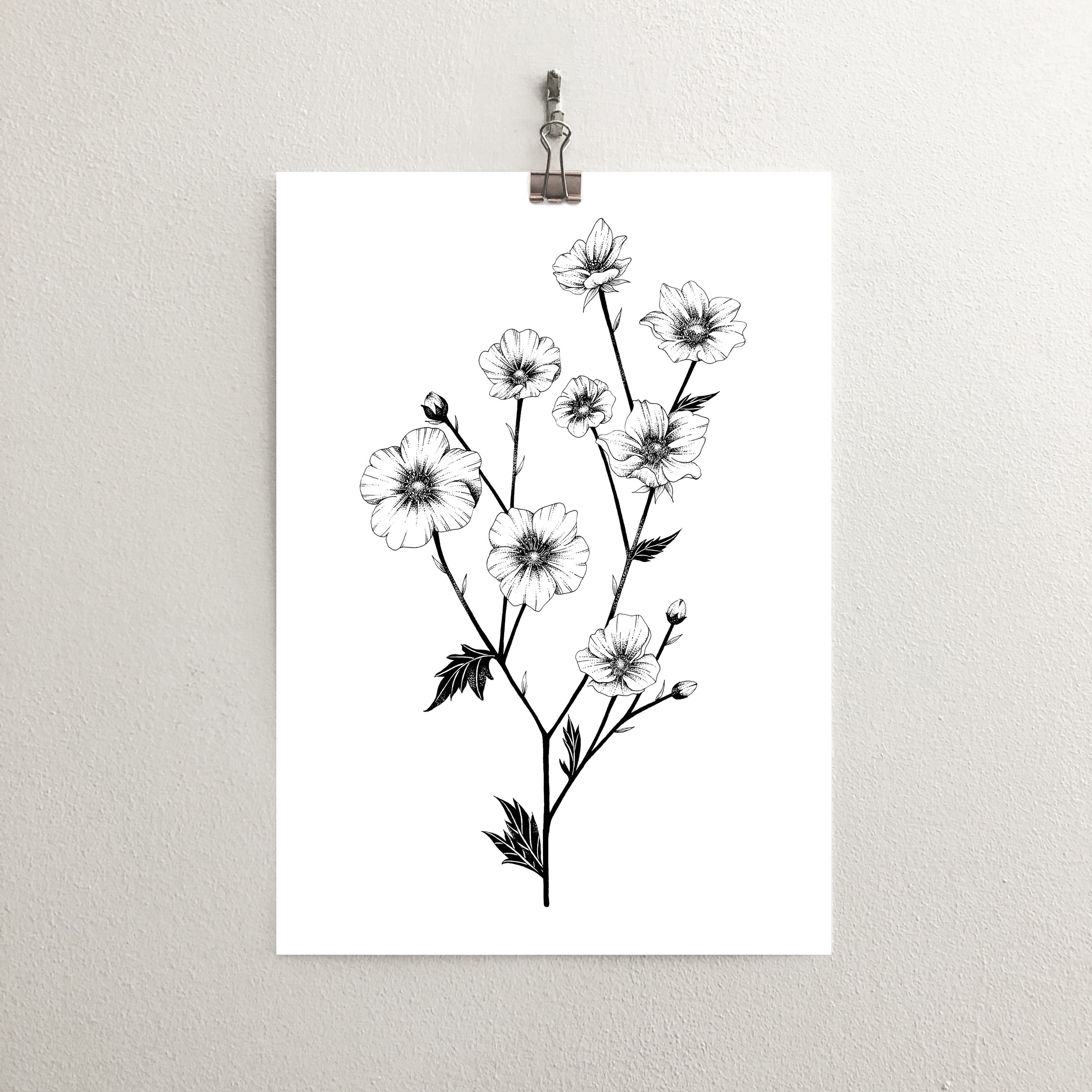 Wildflower Print Botanical Illustration | Etsy