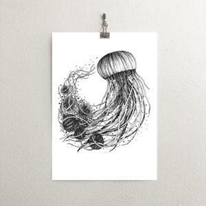 Jellyfish Print, Sea Illustration