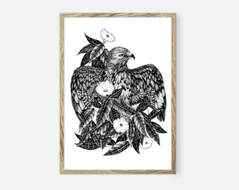 American Eagle Print, Bird Of Prey Wall Art