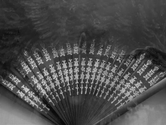 Fan Ostrich Feathers C1900 - image 4