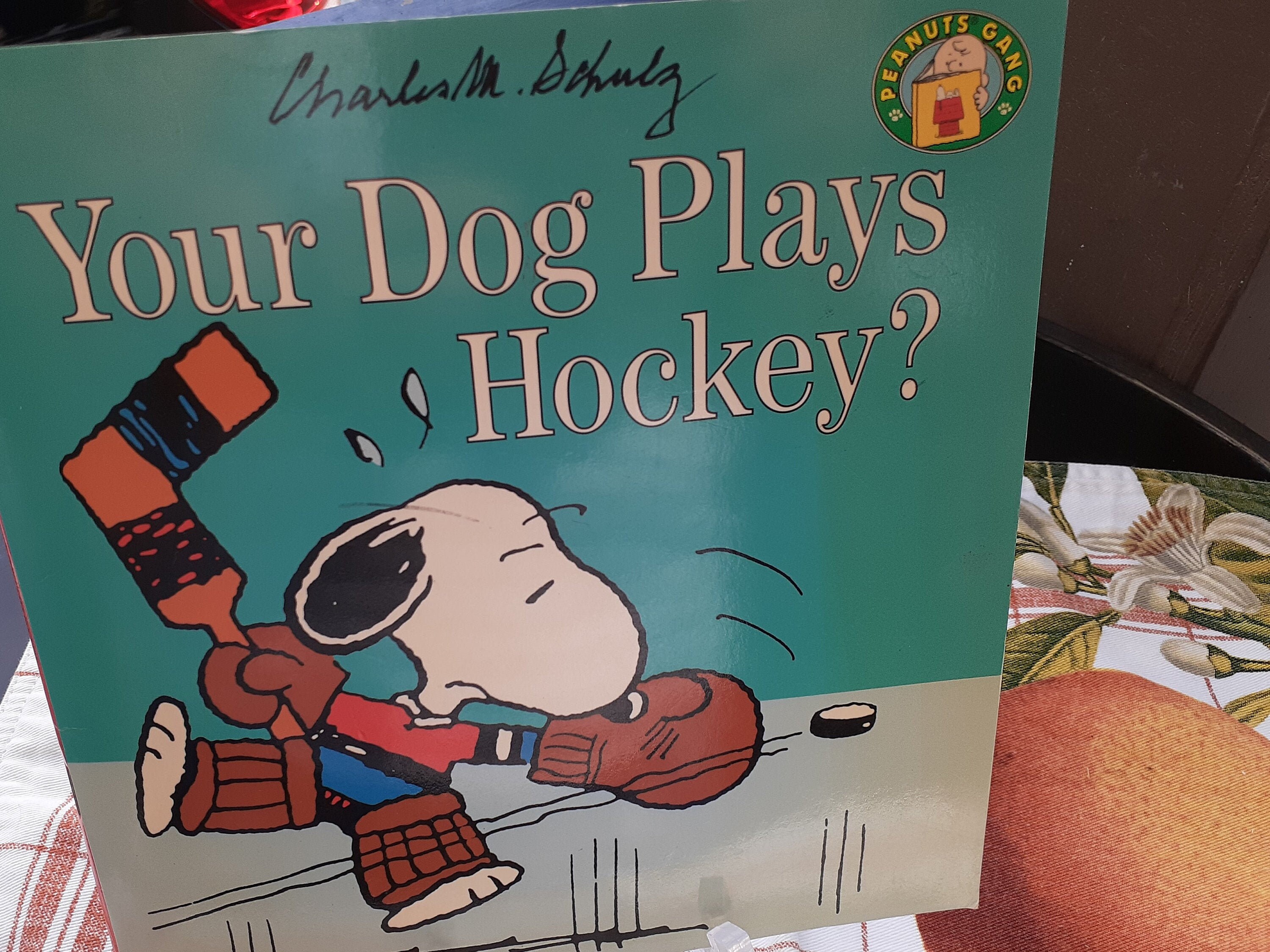 New York Rangers NHL Hockey Snoopy Woodstock The Peanuts Movie T Shirt