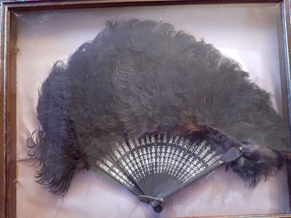 Fan Ostrich Feathers C1900 - image 6