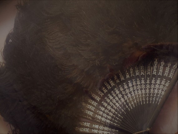Fan Ostrich Feathers C1900