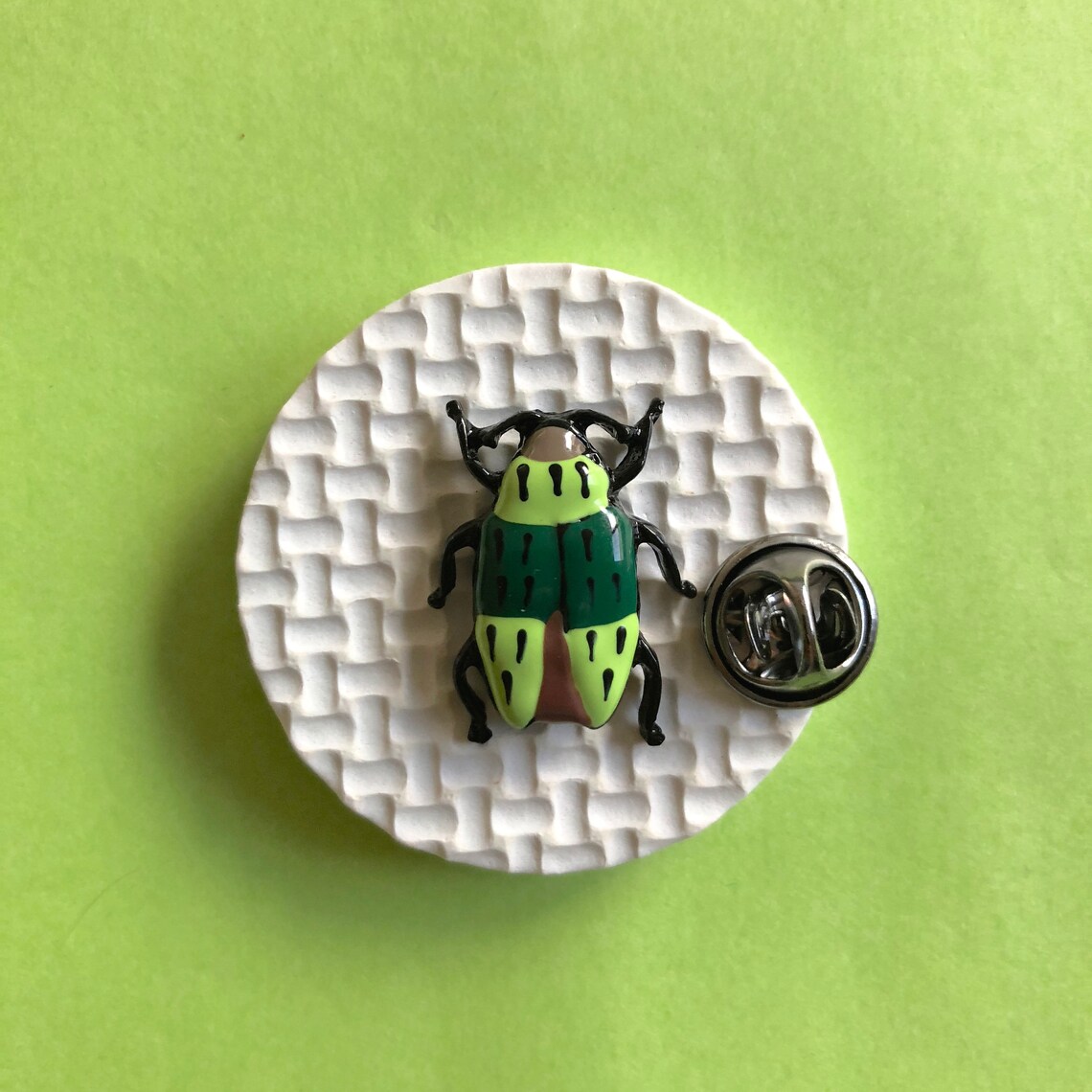 Entomology Pins Insect Brooch Insect Pins Insect Tie Pins Etsy