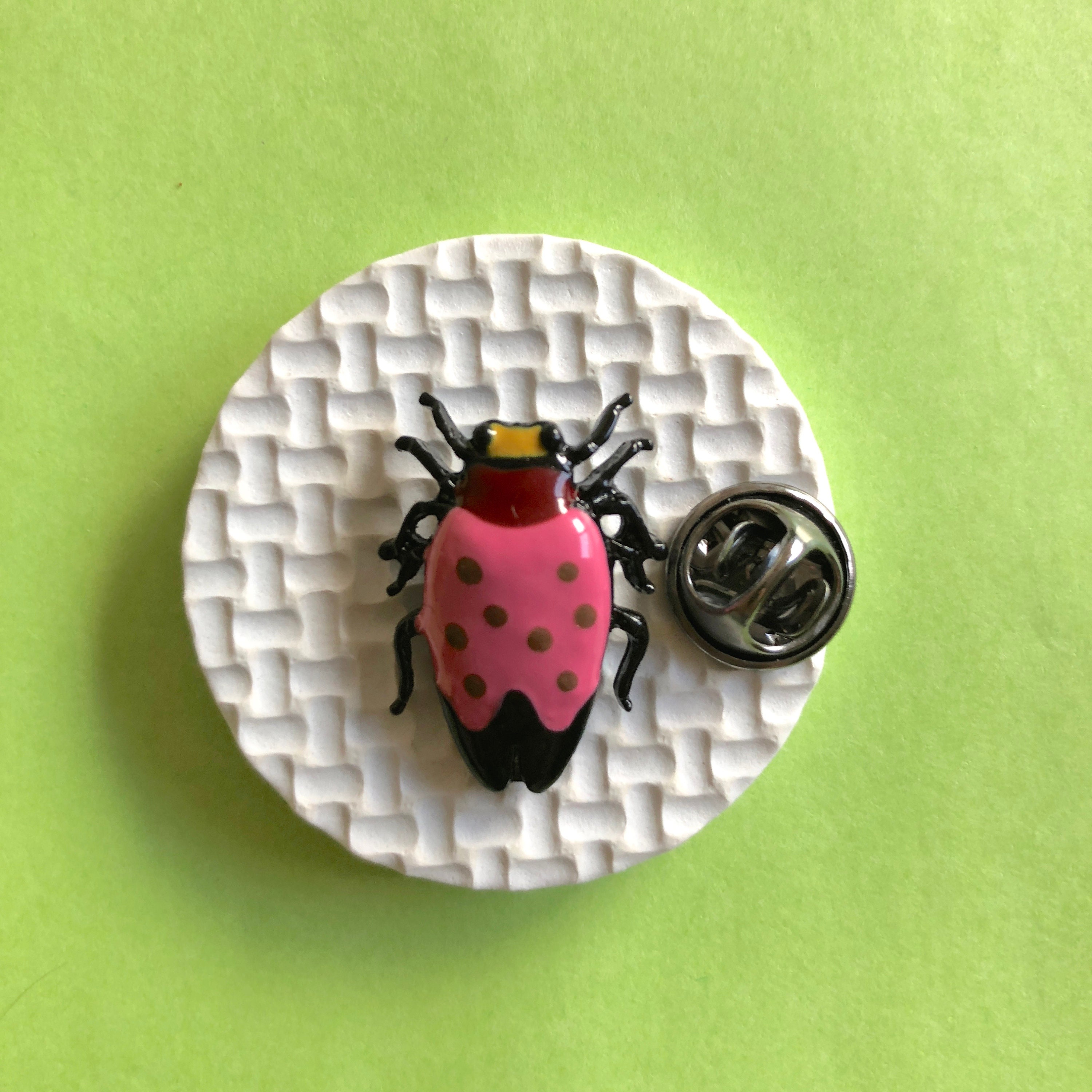 Entomology Pins Insect Brooch Insect Pins Insect Tie Pins Etsy