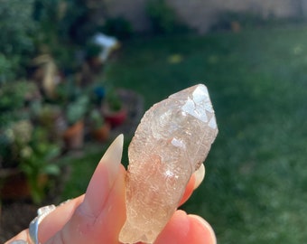 RARE Trigonic Record Keeper-Smoky Scepter Quartz