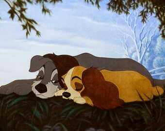 lady and the tramp blanket