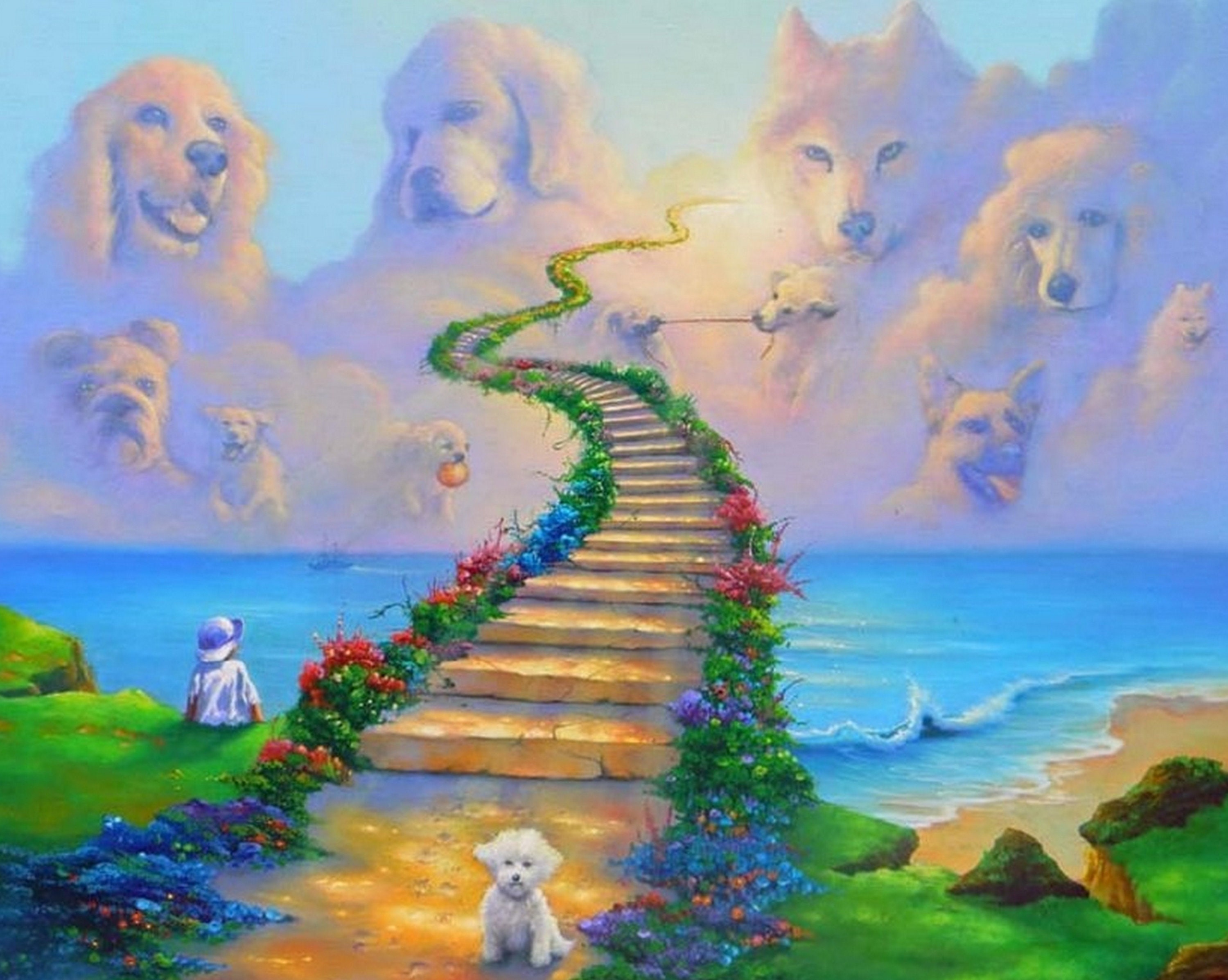 Blanket Rainbow Bridge All Dogs Go to Heaven 50x60 fleece Etsy Italia