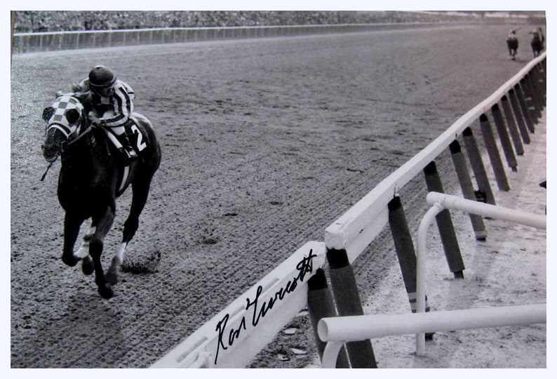 Secretariat Wins At Belmont Great American Horses Posters Poster Art Photo 12x18 Home Decor Posters Prints Nkc Vietnam Vintage Nautical Home Decor Posters Prints Secretariat Wins At Belmont Great American Horses Posters Poster Art Photo 12x18 Home Decor Posters Prints Nkc Vietnam Vintage Nautical Home Decor Posters Prints