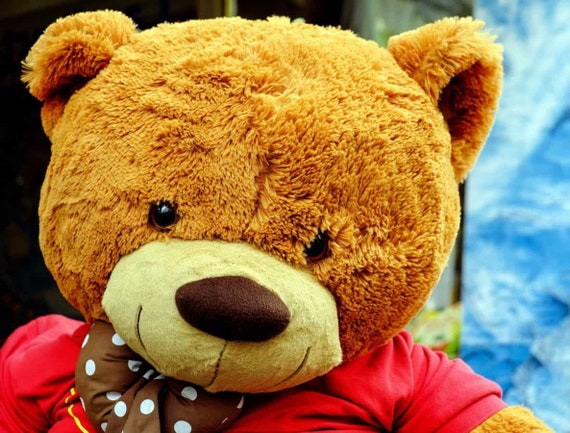 teddy bear sofa bed