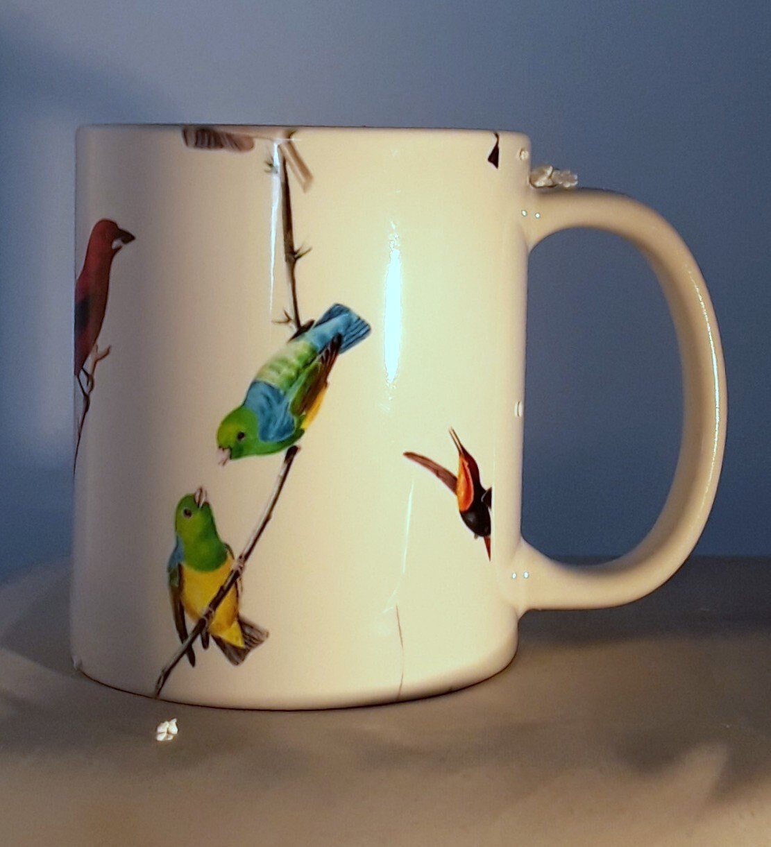 Colorful Birds Collectible Coffee Cup Mug Sturdy Ceramic Etsy