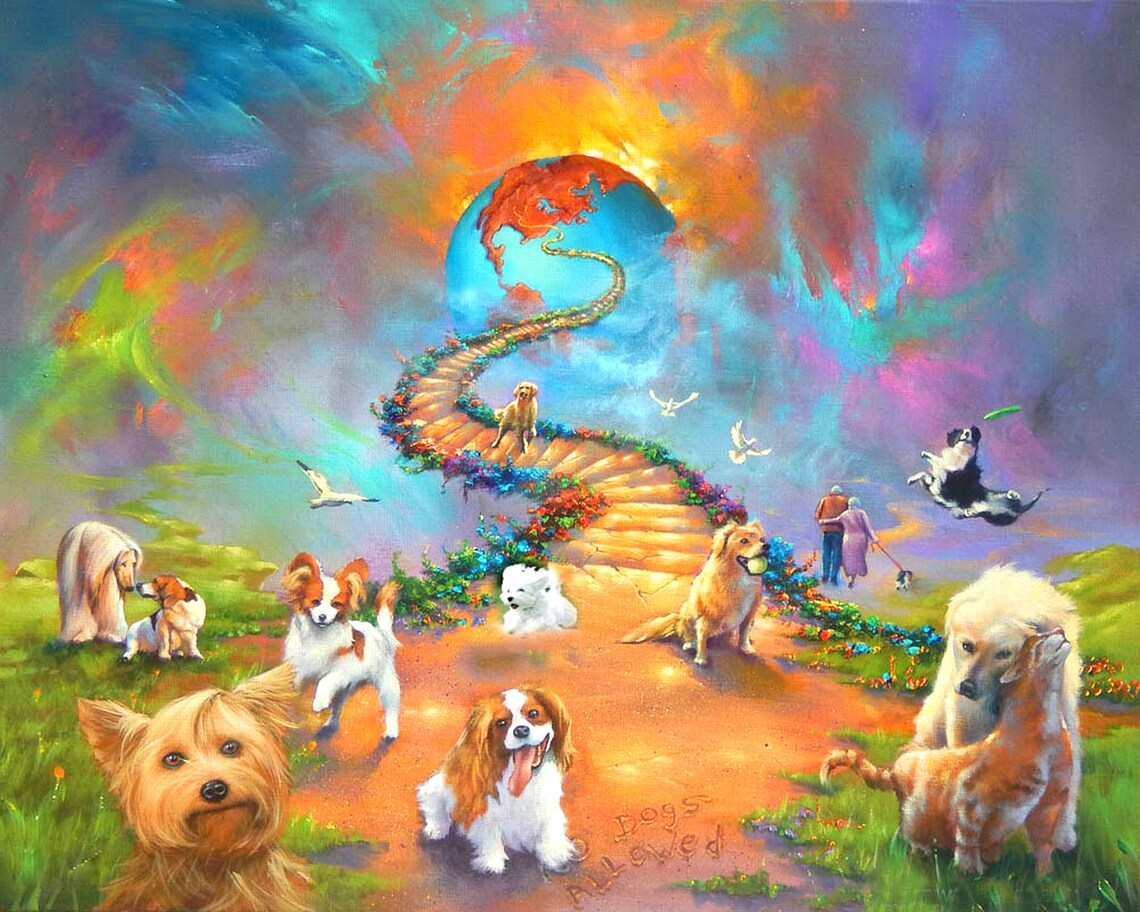 Vivid Rainbow Bridge Tous les chiens vont au ciel Border Etsy France