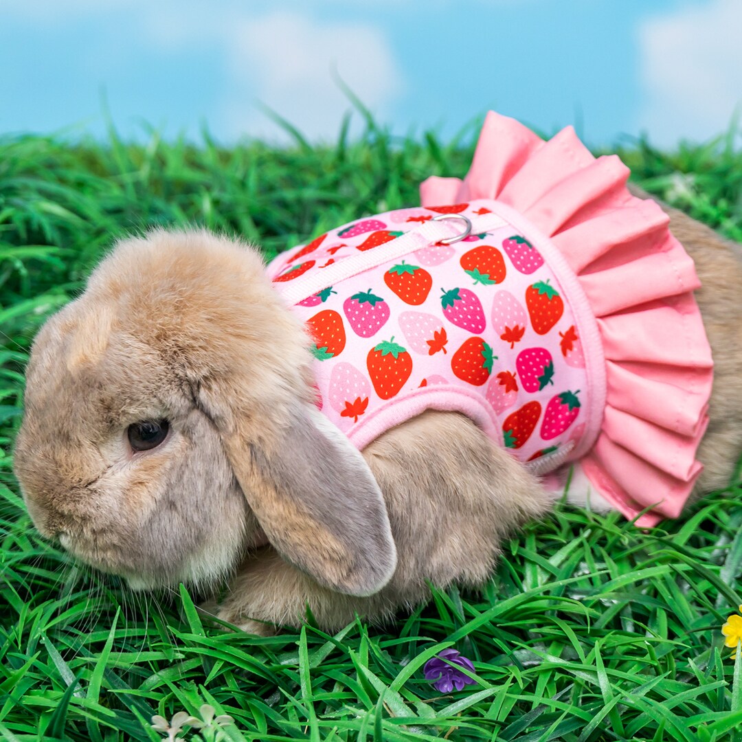 Rabbit Harness and Leash Set Soft Mesh Bunny Vest Harness - Etsy
