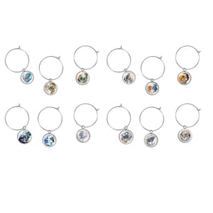 Zodiac Signs  Horoscope Astrology Art Set of 12 Wine Charms Glass Marker Tag Hostess Gift Wine Lover Fan