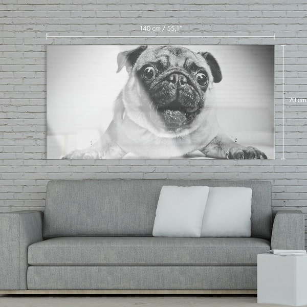 Black And White Portrait Of a Pug Acrylic Glass Print - Wall Print - Dog - Black and White - Fine art print #3AW