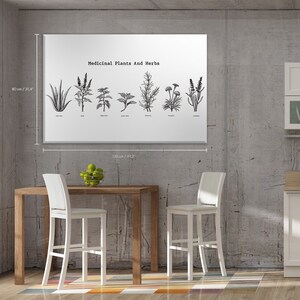 Medicinal Plants And Herbs Hand Drawing Retro Engraving Illustration Cotton Canvas Art - Black And White - Room Decor #66CP