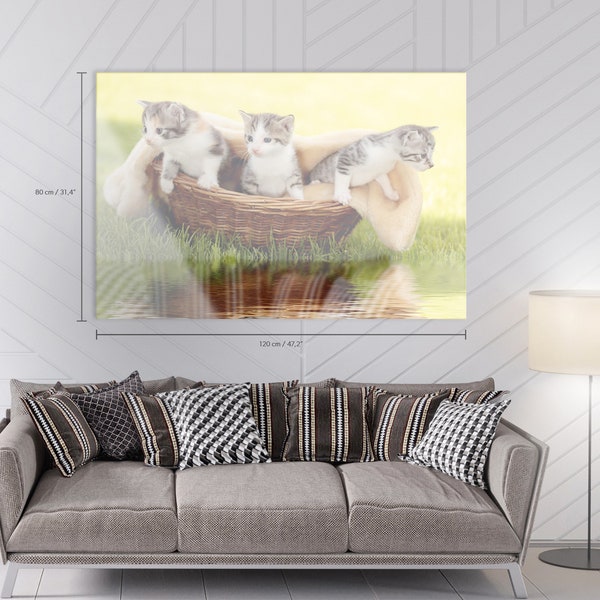 Katzenbabys Im Körbchen Mit Spiegelung Acrylic Glass Print - Three Little Cats In One Basket - Renters Decor - Wall Art #71AW