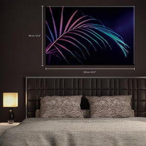 Leaf Of House Palm With Color Filter, Isolated On Black Cotton Canvas Art - Neon Colors Fade - Canvas Art Print - Large Wall Art #47CP