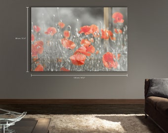 Field With Red Poppies Isolated On Black And White - Acrylic Glass Print - High Gloss Print - Large Wall Decoration #30AM