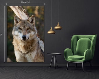 Snowy Wolf Etsy