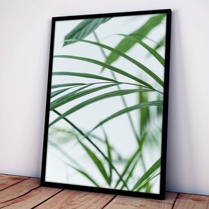 Close Up View Of Green Palm Leaves On Blurred Grey Background Self-Adhesive Poster - Modern Art - Removable Wall Decoration #19PP