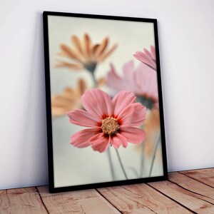 May include: A framed print of a pink flower with a white center, surrounded by other flowers in shades of peach and pink.