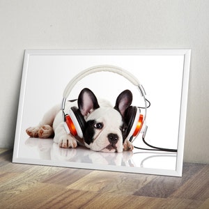 Dog Listening To Music With Headphones Isolated On White Background Self-Adhesive Poster - Removable Wall Decoration #29PW