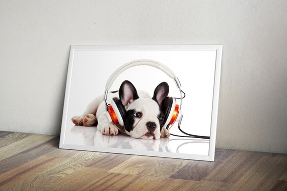 Dog Earpods Case Monogram Canvas - High-Tech Objects and Accessories