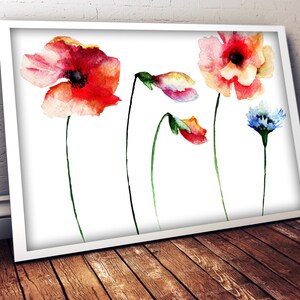 Könnte beinhalten: Aquarellmalerei von roten Mohnblumen und einer blauen Blume mit grünen Stielen auf weißem Hintergrund.