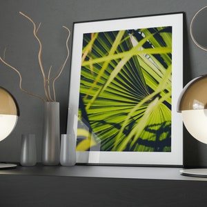 Palm Leaf Close Up, Inside Tropical Garden - Plant Background - Self-Adhesive Poster - Large Wall Art - Peel & Stick Poster #55PP