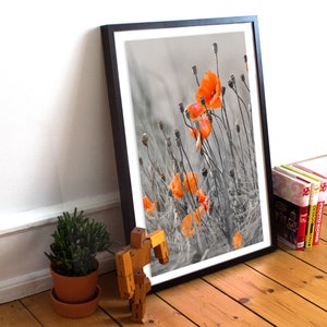 Poppies Against a Gray Background Self-Adhesive Poster - Modern Art - Wall Art - Peel & Stick Poster - Removable Material - Wall Decor #34PM