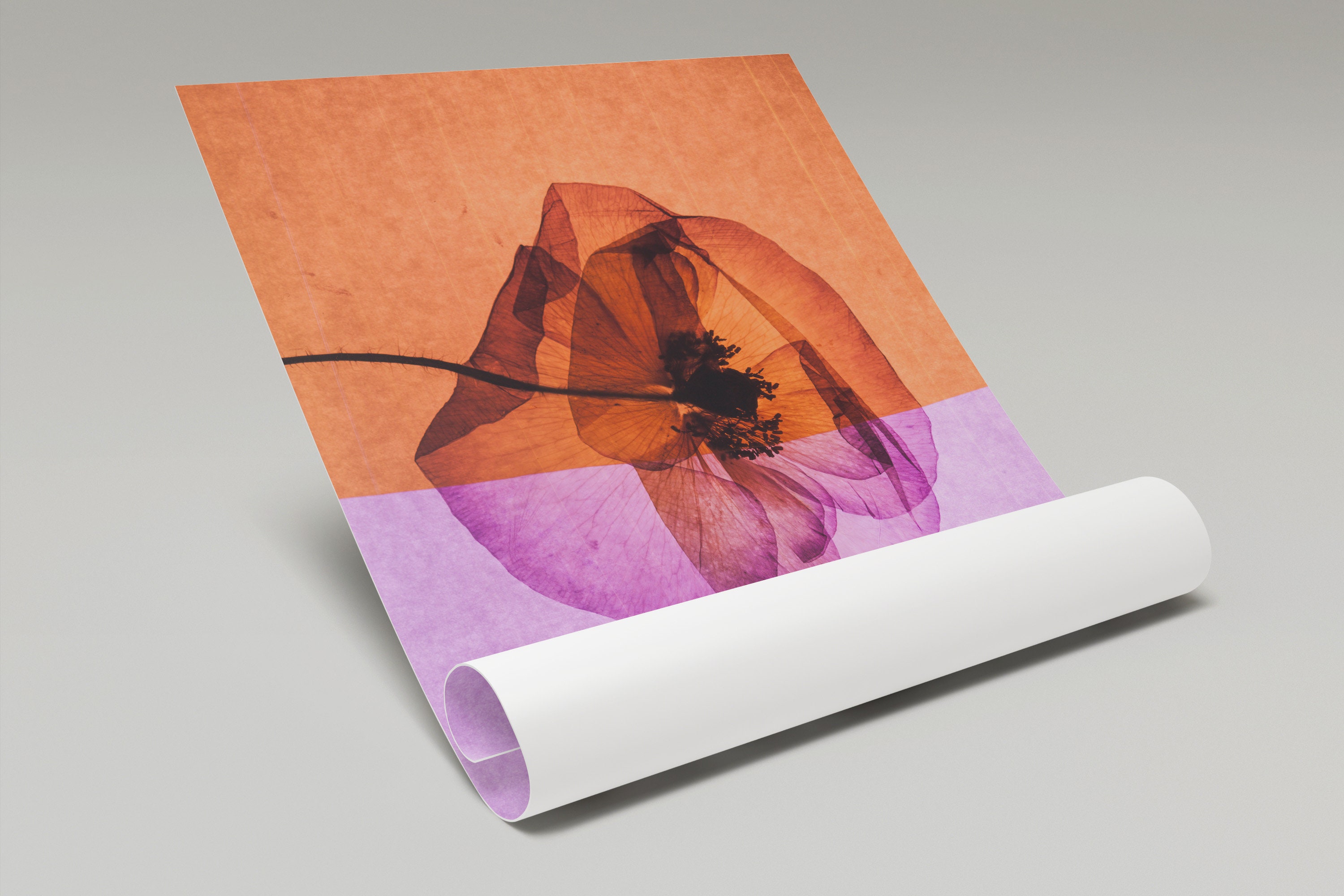 Nice Flower Self-adhesive Poster - Split Colors - Background With a ...